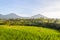 Rice terraces of Jatiluwih, Bali