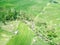 Rice terraces of Jatiluwih in the mountains of Bali Island in Indonesia