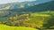 Rice terraces landscape on mountain, time lapse