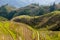 Rice terraces in Longsheng, China