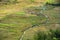 Rice terraces in Longsheng, China