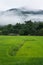 Rice terraces and mountain, Thailand