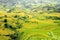 Rice terraces MuCangChai - crop