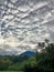 rice terraces often under the foot of Mount Batukaru with cloudy skies in Bangsing Pupuan village, Tabanan, Bali