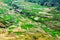 Rice terraces at planting season.