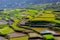 Rice-terraces of Sagada