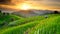 Rice Terraces with sunset backdrop at Ban Papongpieng Chiangmai