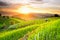 Rice Terraces with sunset backdrop at Ban Papongpieng Chiangmai