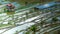 Rice terraces and village houses. Banaue, Philippines