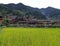 rice,  village , history, heritage , mountain