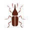Rice weevil icon