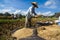 Rice Winnowing in Bali, Indonesia