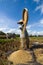 Rice Winnowing in Bali, Indonesia