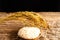 Rice in wooden bowl with paddy rice on rustic wood background,Rice of famer in Thailand