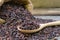 Riceberry rice in wooden spoon on pile rice background.