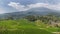 Ricefield and the Ciremai Mount in the background