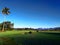 Ricefield in the middle of county