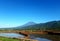 Ricefield in the morning