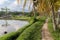 Ricefield near Ubud