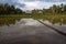 Ricefield near Ubud