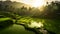 ricefields with intense light green color in the sunrise, neural network generated photorealistic image