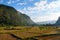 Ricefields landscape mountain background