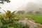 Ricefields and the limestone mountains in the early morning