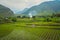 Ricefields of Sumatra