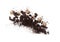 Rich aroma freshly roasted coffee beans fly in air as dance alphabet letter blocks toy beads \\\