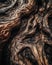 Rich bark patterns in unique macro texture