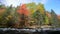 Rich colors of an autumn forest on a stony riverside