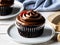 Rich and Creamy Chocolate Cupcake Delight