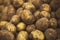 A rich crop of potato tubers, which were recently dug out of fresh earth, has been collected