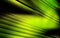 Rich green gradient. Background with diagonal shaded lines.
