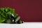 Rich green vegetables on modern exquisite marsala background.