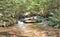 Rich Mountain Creek in Stone Mountain State Park