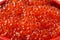 Rich red salmon caviar photographed close-up