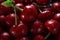 Rich scarlet cherries, a vibrant cluster of deep red sweetness