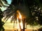 Rich sunset color , sun glare and black silhouettes of coconut trees on the seashore in phuket, partial blurred,