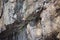 Richly structured rock surface of a vertical rock face with a small overhang - detail view of the Bornstein, which is part of the