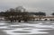 Richmond park in the snow