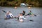 RICHMOND, UNITED KINGDOM - Oct 19, 2020: Hasler Final Marathon Kayaking Canoeing National Championships in Richmond, UK