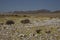 Richtersveld National Park, South Africa.