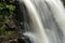 Ricketts Glen State Park Waterfall Detail