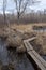 Rickety Boardwalk through a Swamp in Ontario