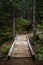 Rickety Wooden Bridge Over Ravine in Forest