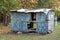 A rickety wooden shed of old boards with holes in the walls and with spots of yellow paint is standing on the grass in the forest