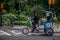 A rickshaw in Central Park, New York.