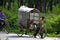 Rickshaw transporting firewoods