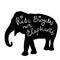 Ride bicycles not elephants. Black silhouette text, calligraphy, lettering, doodle by hand isolated on white. Eco, ecology banner